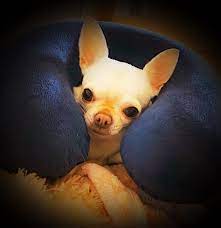 Pin On Que Hacer En Hannover