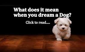 Dream meaning and dream interpretation. 21 Dog Dream Meaning Black White Brown Bite Attack Lost Lifeinvedas