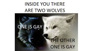 Jun 01, 2021 · the movie theater chain amc is raising $230.5 million through an 8.5 million share sale, cashing in on the meme stock frenzy that has sent its stock price up more than 1,100% this year Inside You There Are Two Wolves Know Your Meme