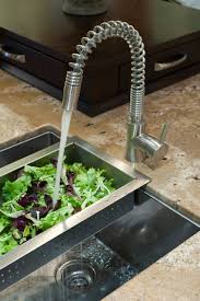 veggie sink houzz