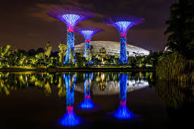 Wallpaper Singapore Gardens By The Bay Nature Pond Reflection Night Night Time Singapore Garden Gardens By The Bay Singapore