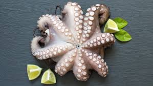 Изучайте релизы oktopus на discogs. Oktopus Pulpo Richtig Kochen Ndr De Ratgeber Kochen Warenkunde