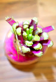 Lilac Turnip Mauve Navet Lila Rubchen Tolle Rezepte Aus Dem Schwarzwald Ihr Durft Meine Bilder Pins Regionale Kuche Fruchte Und Gemuse Rube Rezepte