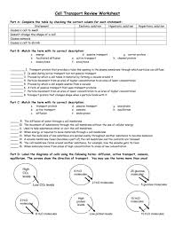 Complete the table by checking the correct column for each statement: Cellular Transport Review Worksheet Answer Key Promotiontablecovers
