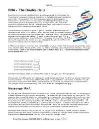 9th 12th grade 10 best images about dna & rna on pinterest dna the double helix coloring worksheet. Dna Coloring