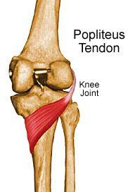 Camille Herron Injury Rehabilitation Knee Muscle Stretches