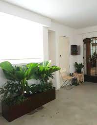 This video is anyhow install it. Hdb Communal Space Corridor Tropical Singapore By Plant In Houzz