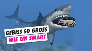 Is the meg als het echte zeebest. Diese 9 Urzeit Giganten Sind Ausgestorben Watson