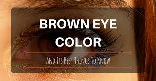 Brown Eye Color And Its Best Things To Know