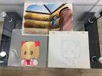新メイプルタウン物語・パームタウン編