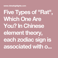 Five Types Of Rat Which One Are You In Chinese Element Theory Each Zodiac Sign Is Associated With One Of The Five Elements Zodiac Chinese Zodiac Rat Rats