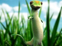 We only deal with healthy, vibrant reptiles and when you buy a gecko from us, we guarantee it will arrive alive and in healthy condition. Geico Lizard 3d Model