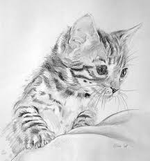 Misschien vind je het dan ook wel leuk om schattige tekeningen in te kleuren. Eline Van Waardenburg Bengaal Kitten Dieren Tekenen Katten Huisdier Kunst