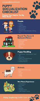 Join over 90 million people learning online at udemy! Puppy Socialization Checklist And Schedule For Your New Dog Puppy Socialization Puppy Grooming Puppy Schedule