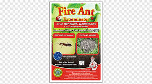 Their stinger is at the end of their abdomen. Fire Ant Insect Pest Control Insect Animals Grass Png Pngegg