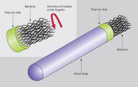 Image result for nanobots