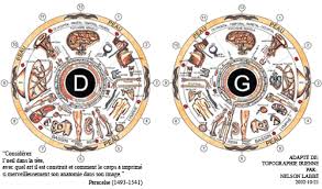 iridology pdf buscar con google health iris