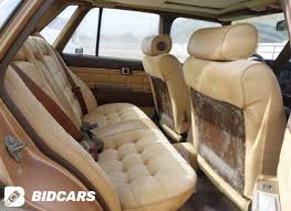 Image result for Brown 1984 Cressida
