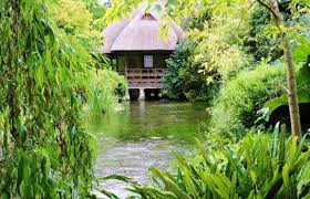 Sussex, wakehurst was leased by the royal botanic gardens, kew in 1965 from the national trust. Heale Gardens Near Salisbury Hotelsi Great British Gardens