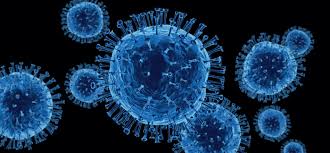 How the Coronavirus Is Already Rewriting the Future of Business ...