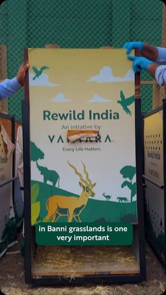 A shared effort for the long-term conservation of Blackbucks., Dr Jaipal  Singh, IFS, Chief Wildlife Warden, Gujarat, shares his perspective on the  release of 20 Blackbucks in the Banni grasslands. In ...