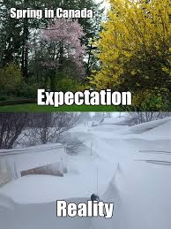 First Day Of Spring And It Snows In Alberta Canada Funny Meanwhile In Canada Canada Memes