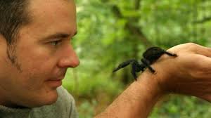 Deep Jungle: New Frontiers