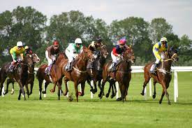 In der regel von vollblutpferden in der grundgangart (gangart) galopp. Pferderennen Wikipedia