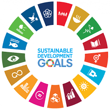 E-JUST Academic profiles