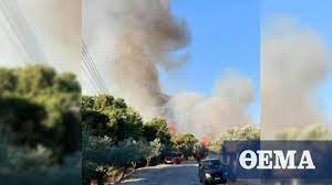 Στο αυτό το τμήμα της ιστοσελίδας μας μπορείτε να ενημερώνεστε για τα τελευταία νέα από γενικό προξενείο στουτγάρδης, να μάθετε για τις παρεχόμενες υπηρεσίες, να διαβάσετε για το γενικό πρόξενο και το προσωπικό της. Fwtia Se E3eli3h Fwtia Sto Loytraki Korin8ias