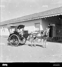 Horse carriage india hi-res stock ...