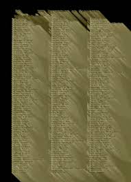 Image result for Grewia schmitzii