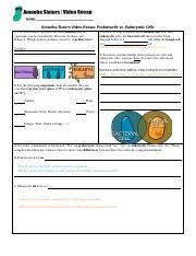 Partnerships for reform through investigative science and math. Copy Of Biology Animal And Plant Cell Labeling Pdf Partnerships For Reform Through Investigative Science And Math Mckenzie Johnson Name 9 18 2020 Date Course Hero