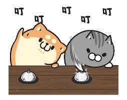 Plump Dog Plump Cat Animated Stickers Cute Gif Animation Cat Stickers