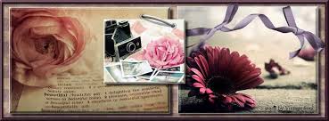 See more ideas about music cover photos, white aesthetic, aesthetic colors. Pin By Crystal Randolph On Psycho Facebook Cover Facebook Cover Quotes Facebook Cover Photos