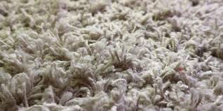 Because triexta carpet doesn't need a chemical application to achieve its famed stain resistance, it tends to be softer underfoot than nylon and polyester. Carpet Prices And Installation Cost 2021