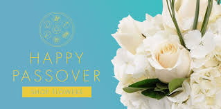 Get 400+ more passover ideas on pinterest passover begins this friday night, april 3, at sundown. The Traditional Flowers Of Passover Central Square Florist