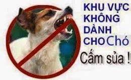 Hình ảnh có liên quan