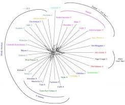 study shows ancient relations between language families