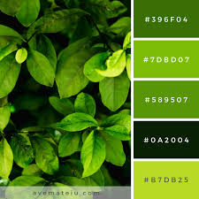 Color Palettes Ave Mateiu Green Color Pallete Green Colour Palette Green Palette