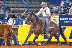 Image result for Pink 1983 Roper