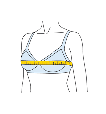 We did not find results for: How To Measure Your Bra Size Bra Size Charts Band And Cup Measurement Guide Real Simple