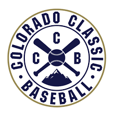 Revolution Baseball Team Profile