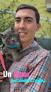 ✨Cada historia merece un final feliz✨ Y en Servipets decimos SÍ a proteger  con el chip. ¡Ya los tenemos disponibles con precio de lanzamiento! 🐾💛  Recuerda que es el momento perfecto para