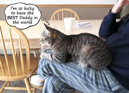 Happy Father S Day From The Best Cat Dad Ever Love Pip And Skittles 3 Dad Birthday Card Funny Birthday Cards Father Birthday Cards
