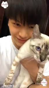 ソンジェリム 猫