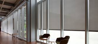 This mini guide to choosing window shades can help. Roller Shades Fr