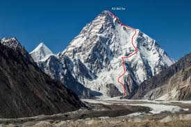 They're made from dried plant. K2 First Ever Ski Descent See Andrzej Bargiel Ski K2