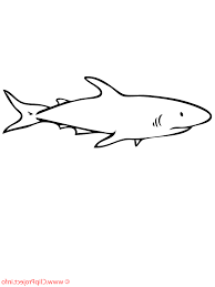 Sharks With Sharp Tailed Coloring Pages For Kids Ew1 Printable Sharks Coloring Pages For Kids Shark Coloring Pages Shark Pictures Shark