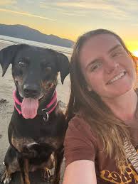 What are some available flats in Wellington for a young professional with a  dog?